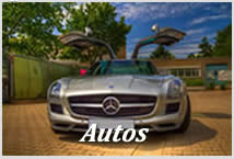 Photogalerie-Autos